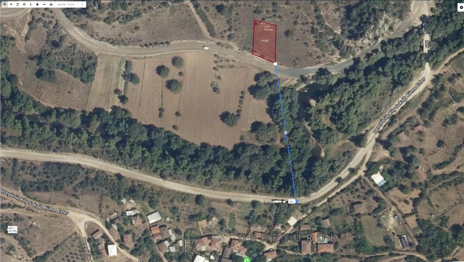Fotoğraf